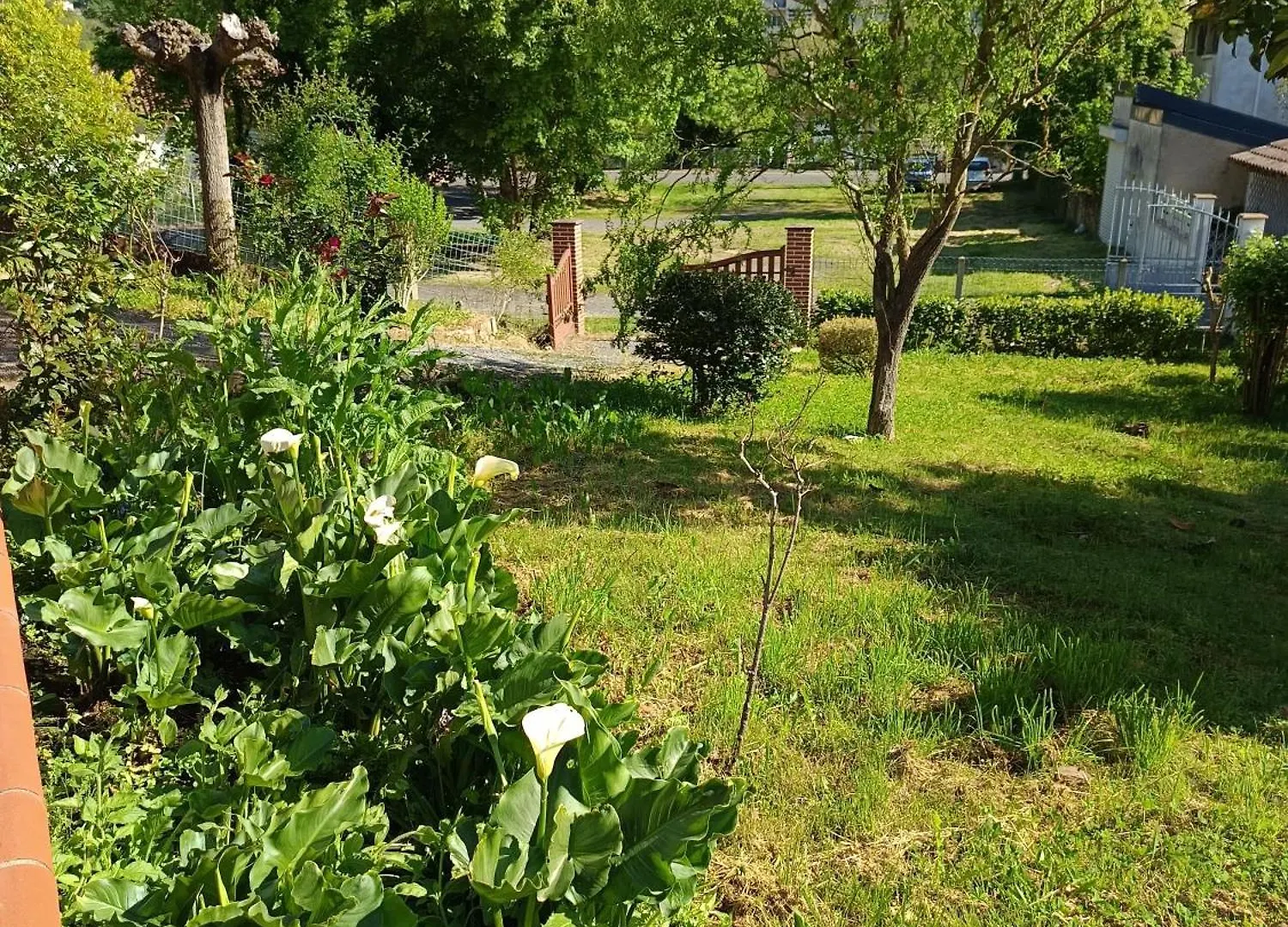 Ainapat Bed and Breakfast Carmaux